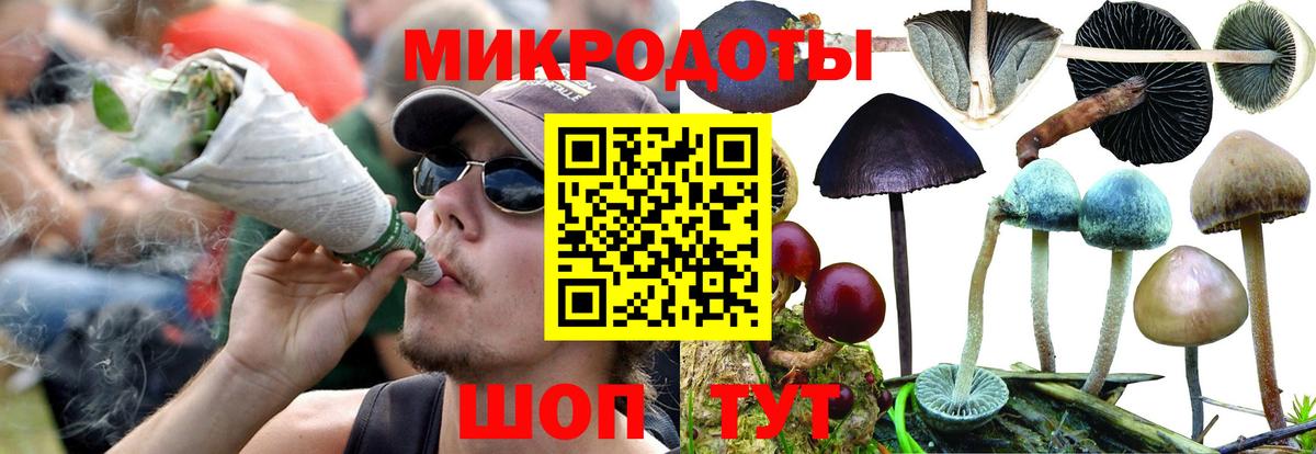 Псилоцибиновые грибы мицелий Новосибирск