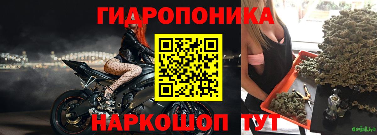 Шишки марихуана SATIVA & INDICA Новосибирск